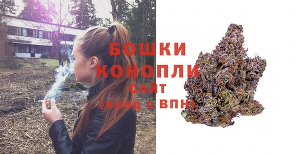 шишки Аша