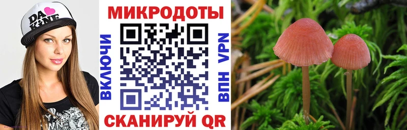 купить  сайты  Тамбов  Галлюциногенные грибы Psilocybe 