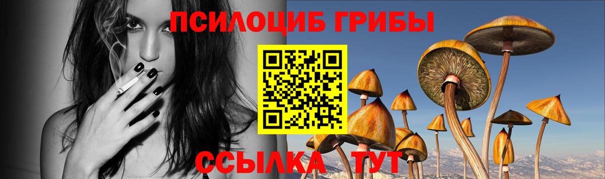 Тамбов  Галлюциногенные грибы мухоморы  Вход с VPN 