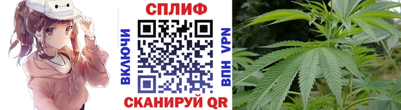 где купить   Тамбов  Канабис Ganja 